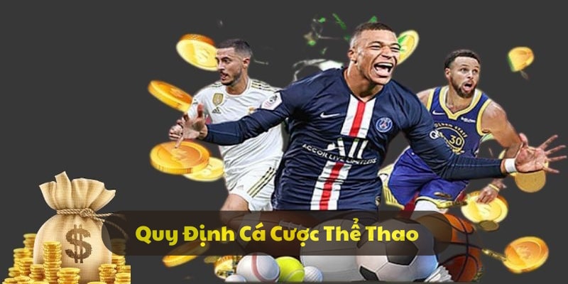 Mỗi sản phẩm đều có những quy định riêng biệt Mỗi sản phẩm đều có những quy định riêng biệt