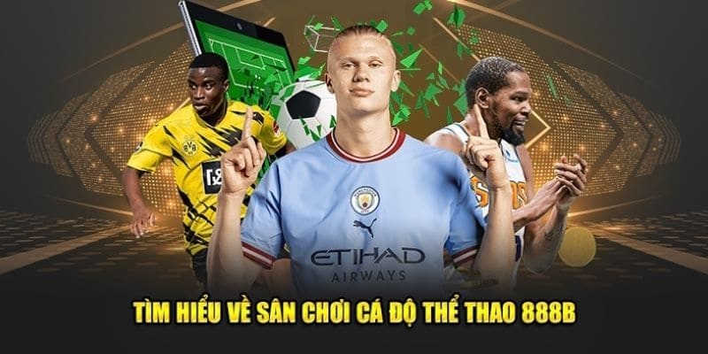 Giới thiệu cá cược thể thao trực tuyến dễ hiểu Giới thiệu cá cược thể thao trực tuyến dễ hiểu