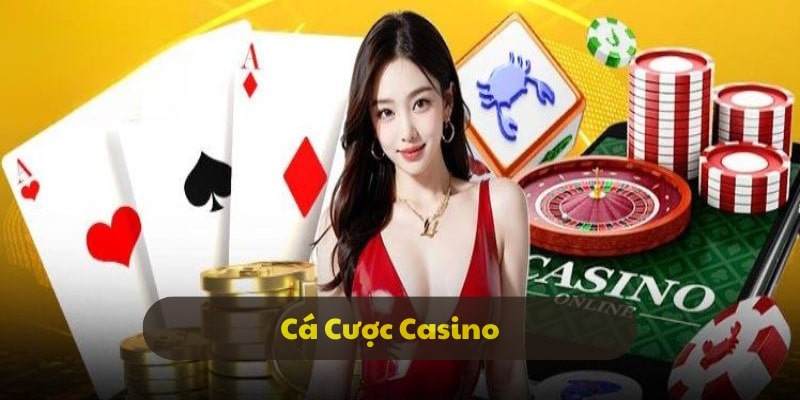 Các loại cá cược Casino gây cấn Các loại cá cược Casino gây cấn