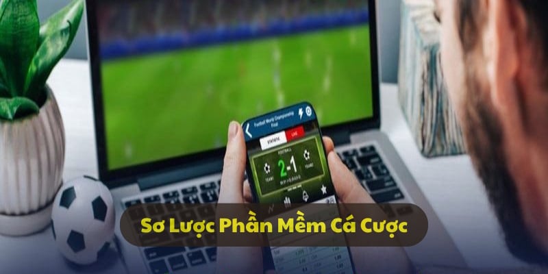 Giới thiệu về phần mềm cá cược từ nhà cái